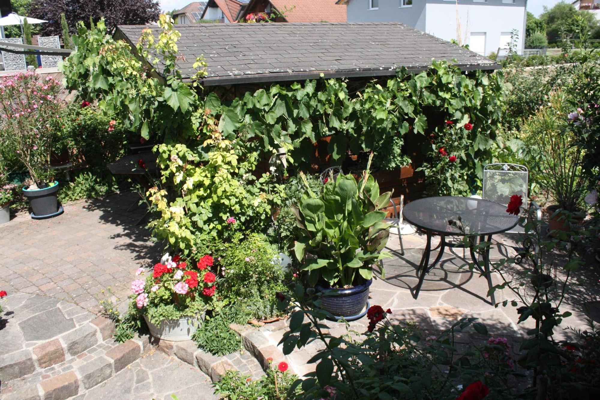 Ferienwohnung Burger Sasbach am Kaiserstuhl Exteriér fotografie