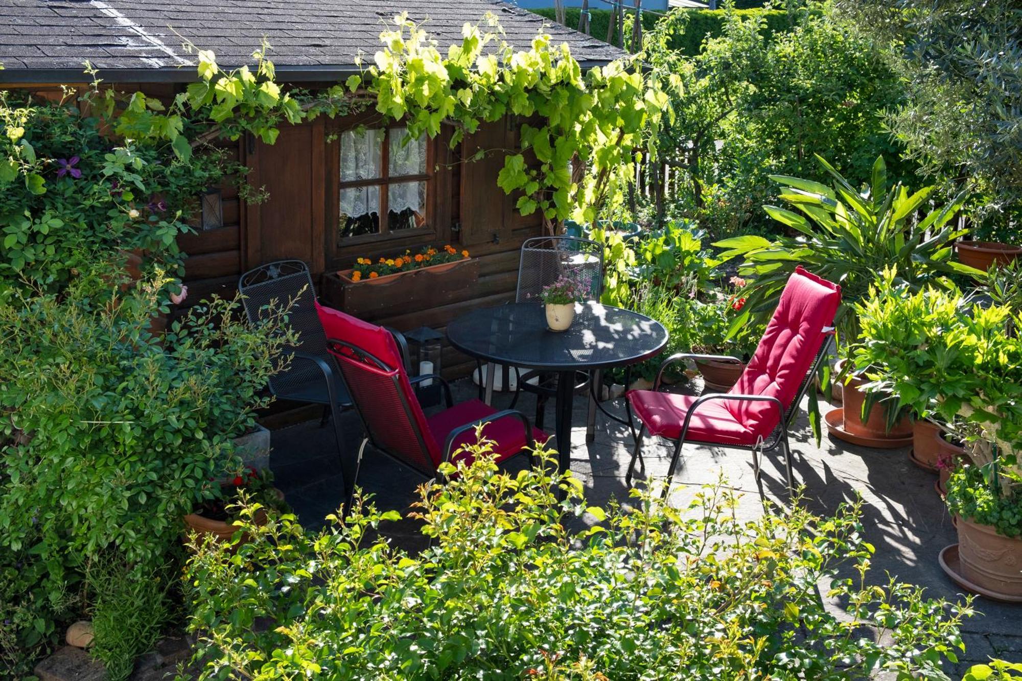 Ferienwohnung Burger Sasbach am Kaiserstuhl Exteriér fotografie